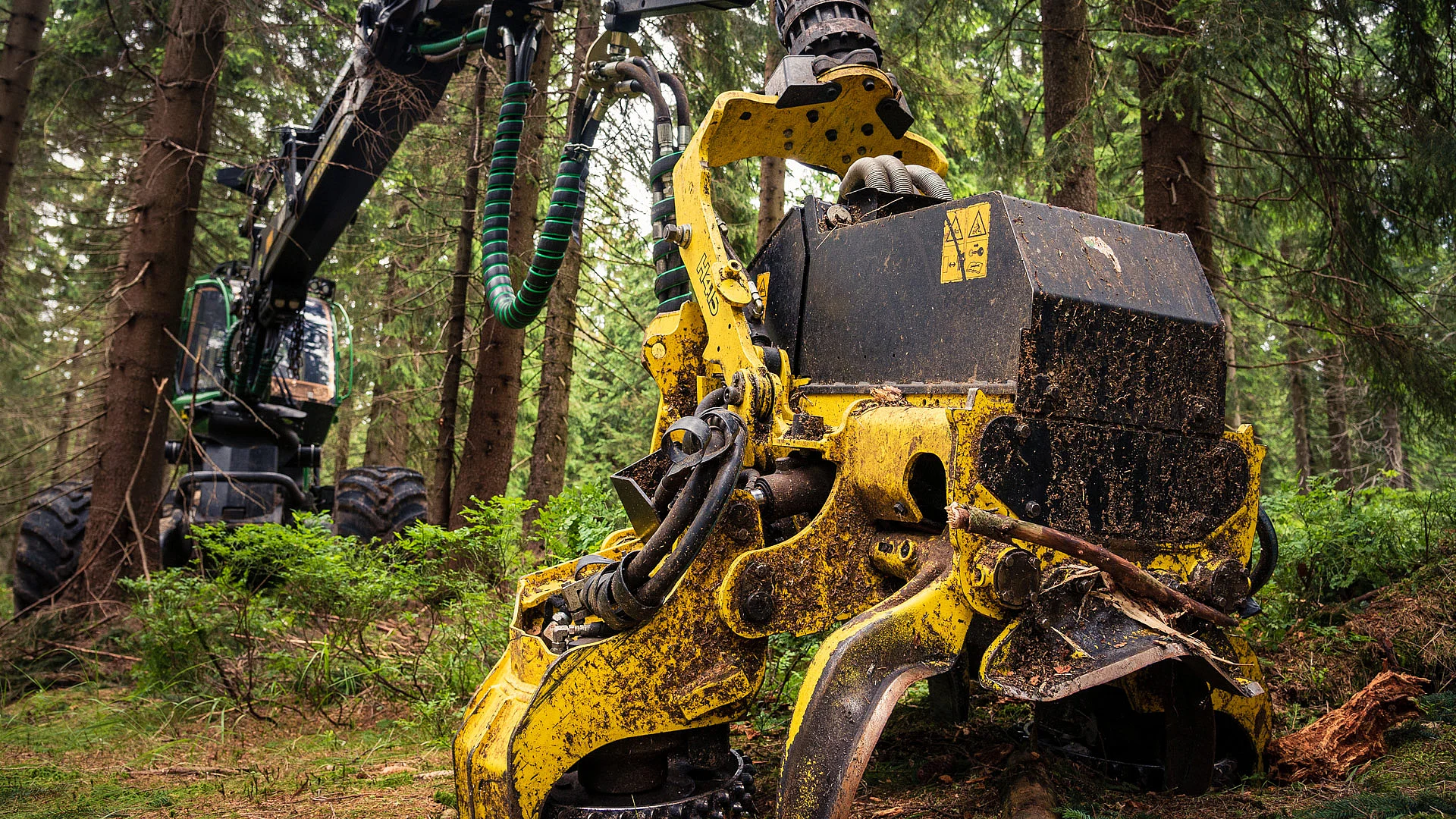Forestry vehicles