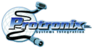 Protronix Logo